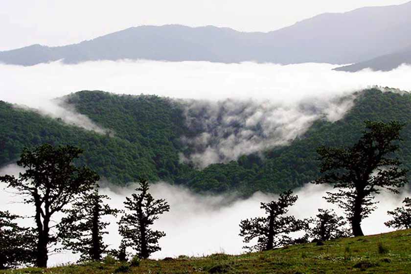Лес Абр с сорока миллионами деревьев, является одним из природного наследия Ирана.