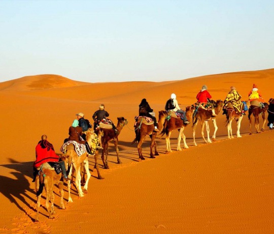 Die Wüste Mesr- kamelreiten