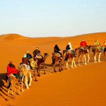 Voyage à dos de chameau, Mesr, Mesr désert, Mesr désert à Isfahan.