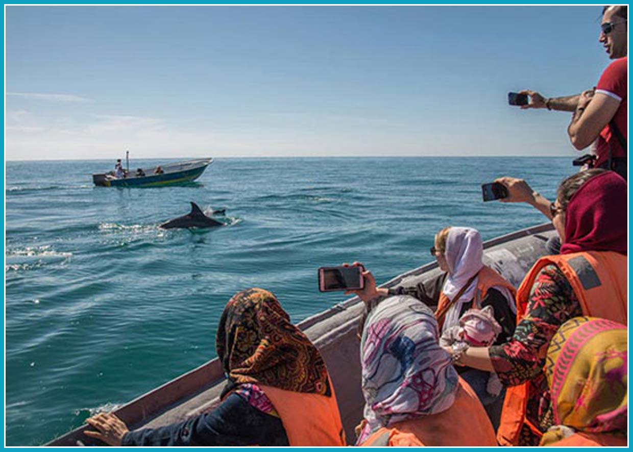 Qeshm Island, Persian Gulf, Iranian Islands, Dolphins